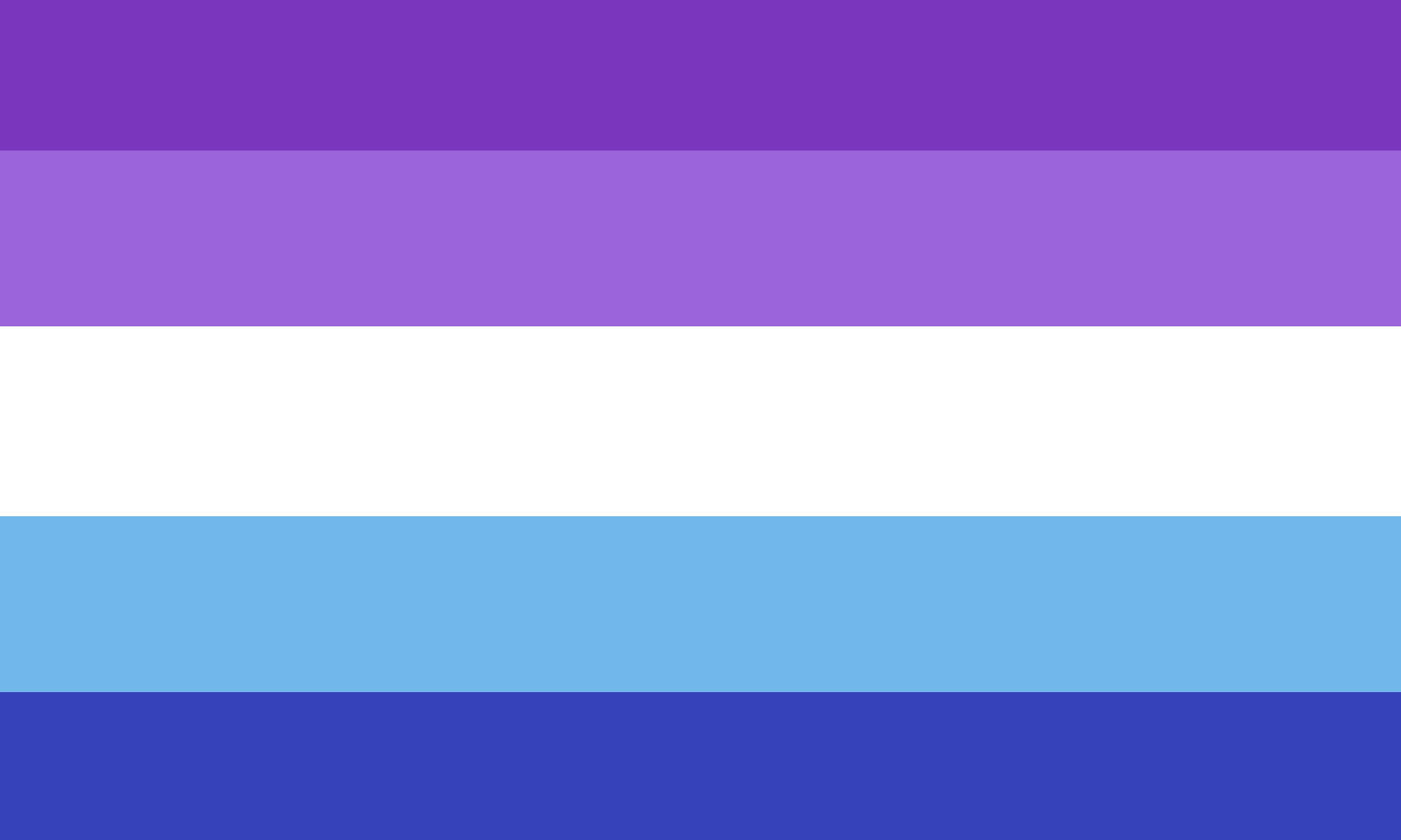 5-stripe version of the new purple blue gay man flag